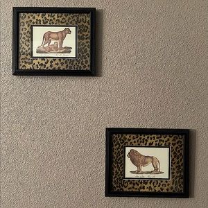 Framed Lion Prints